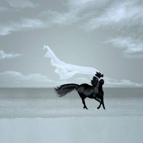 Relaxed Love (Original Mix) 