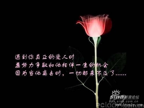 知心爱人（长笛, 萨克斯二重奏)