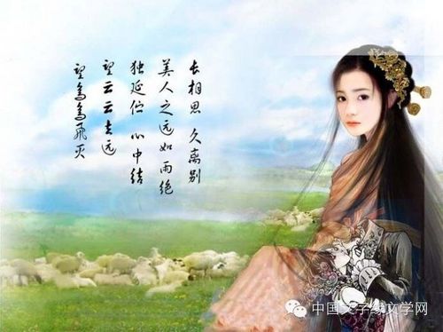 相思的债 ( 乐器演奏版 )