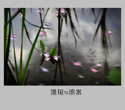 叶落水流归