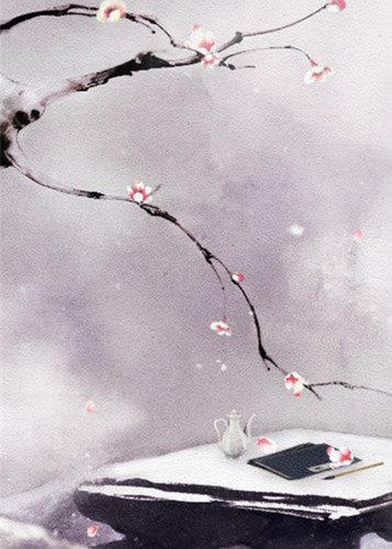 雪割草