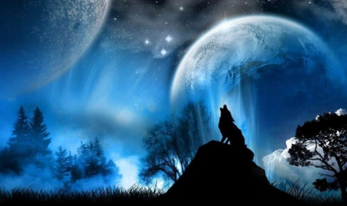 The Wolf and the Moon