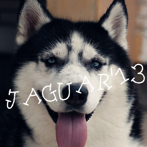JAGUAR '13