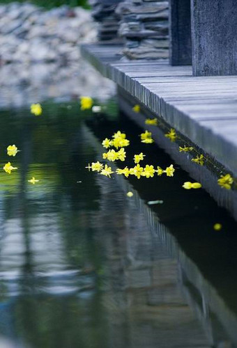 风定花犹落