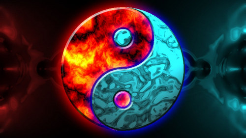 The Yin and Yang in Harmony