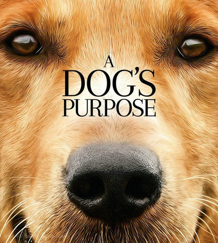 A Dog's Purpose 灵魂之狗 OST 2017