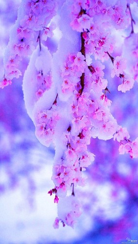 すべてを雪に染めて ～never ending snow～ 