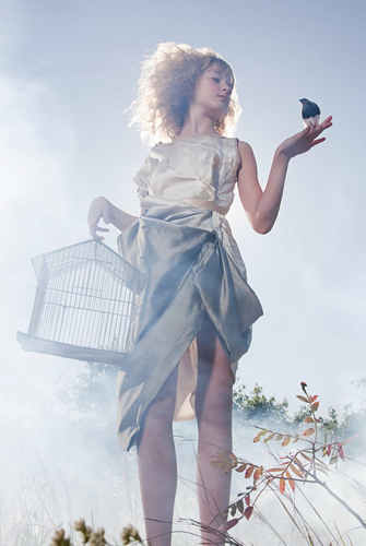 The Magic Birdcage