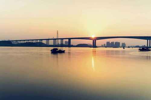 海港之夜（小提琴）