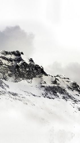 春庭雪