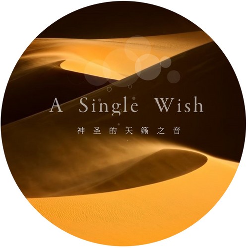 A Single Wish 