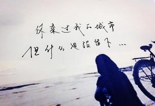 雪中情