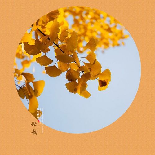 十一月，深秋叙 