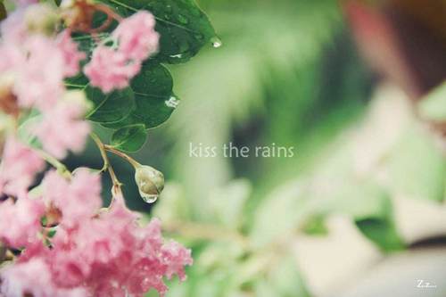 Kiss the Rain(COVER Yiruma)【钢琴】