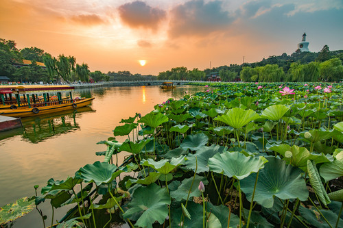 盛夏与响恋