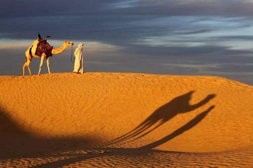 Traveller
