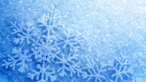 【笛】雪之花