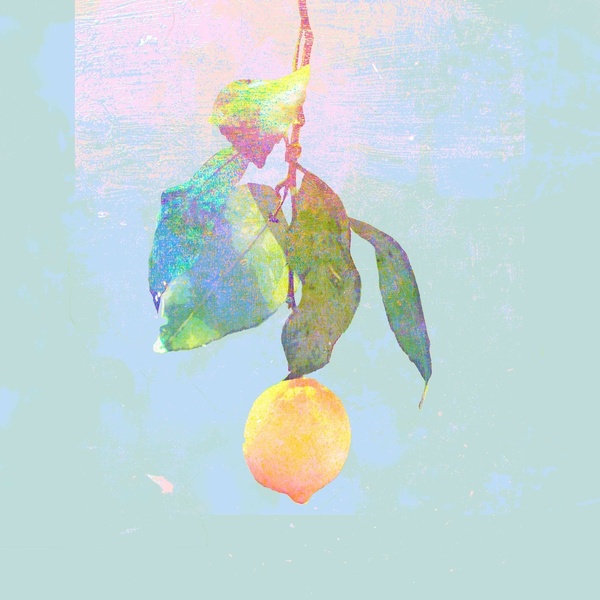 Lemon（琵琶）