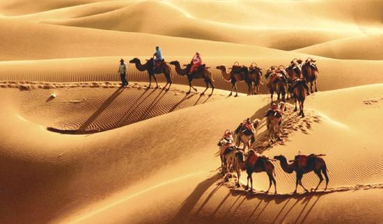 【钢琴】沙漠骆驼