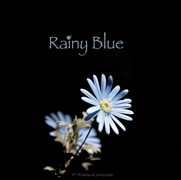 Rainy Blue (蓝色阴雨)