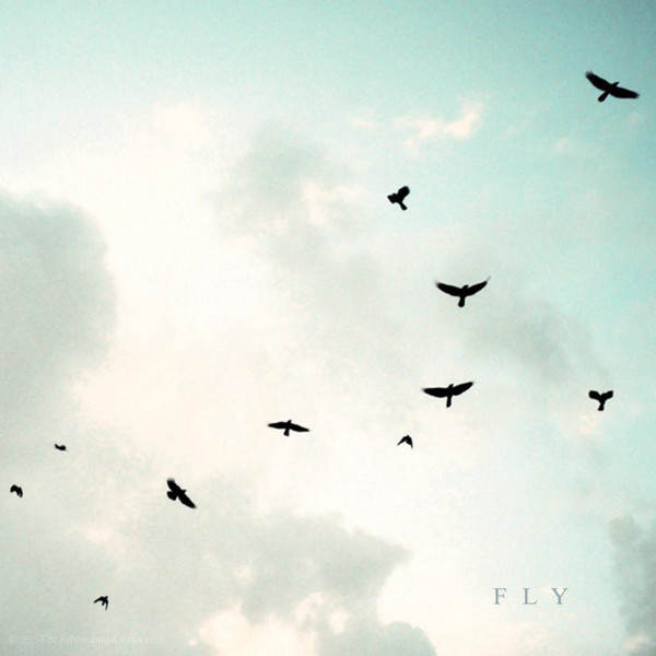 Mattia Cupelli-FLY 2015