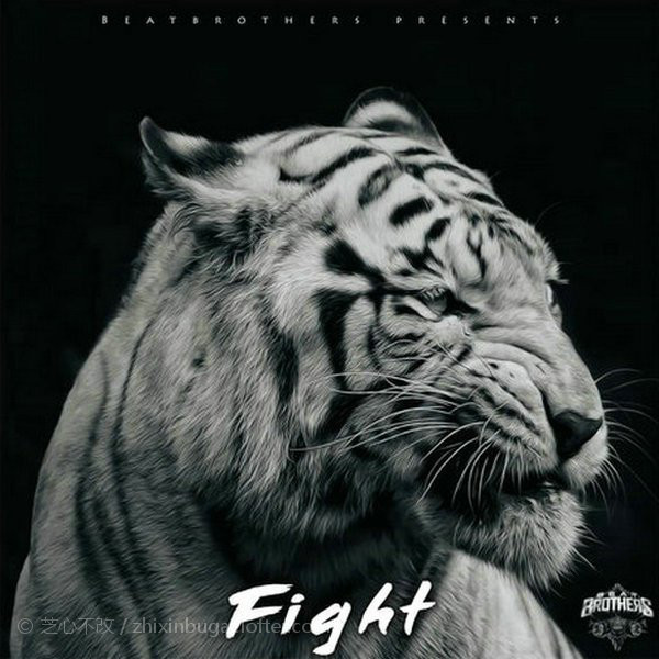 BeatBrothers-Fight 2019