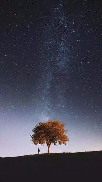 evening star
