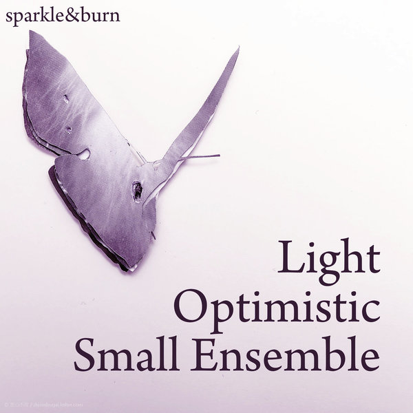 Light Optimistic Small Ensemble <2>