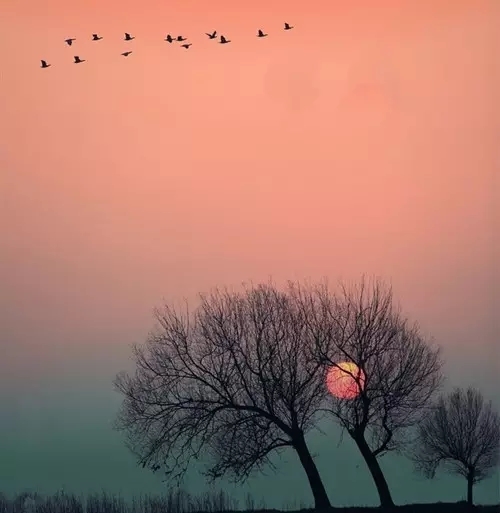 雁书