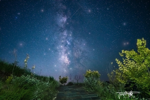 调皮的小星星