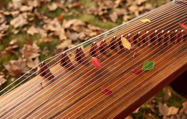 Zither Flow