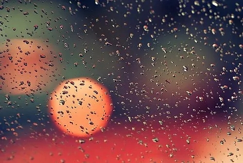 霜雨