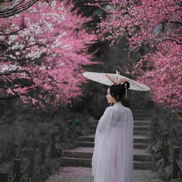 莫相忘