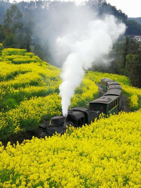 轻音乐-《穿过田野》Across the Fields