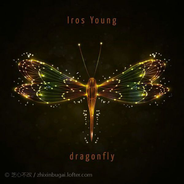 Dragonfly 蜻蜓 2020   