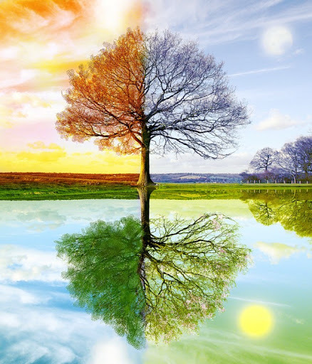 The Four Seasons 사계 