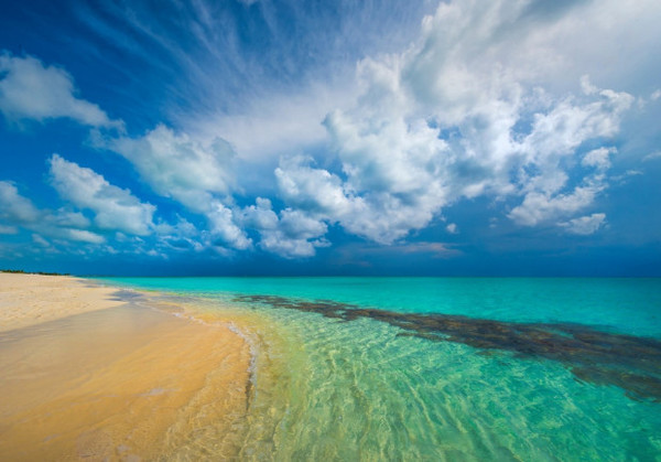 Cyan Coast  