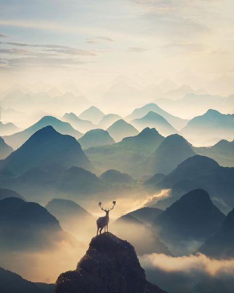Breath