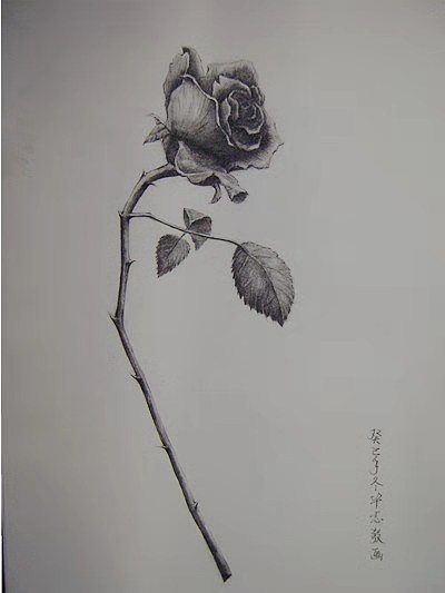 The Last Rose of Summer (小提琴与管弦乐)