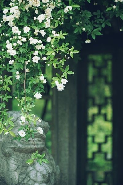 奇异恩典