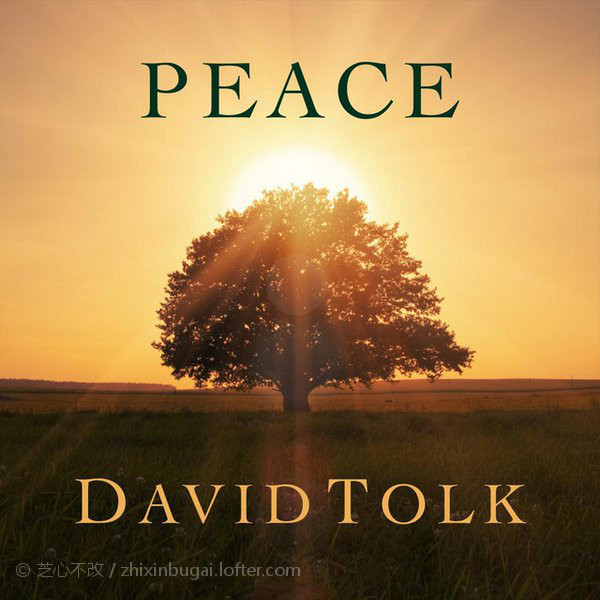David Tolk-Peace 太平盛世 2020 