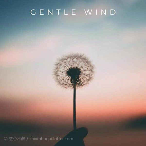 Gentle Wind 微风拂过 (Singles) 2020  