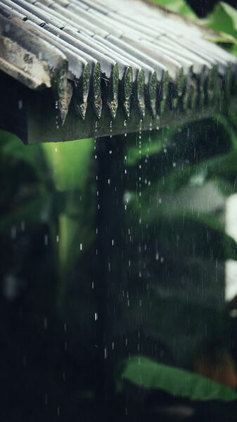 半山听雨（翻自 杨青）