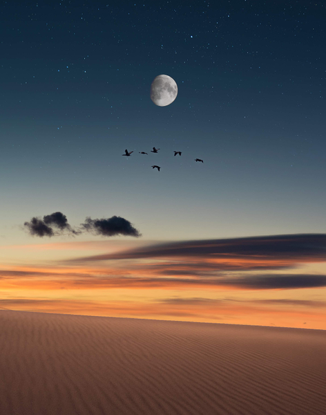月の沙漠