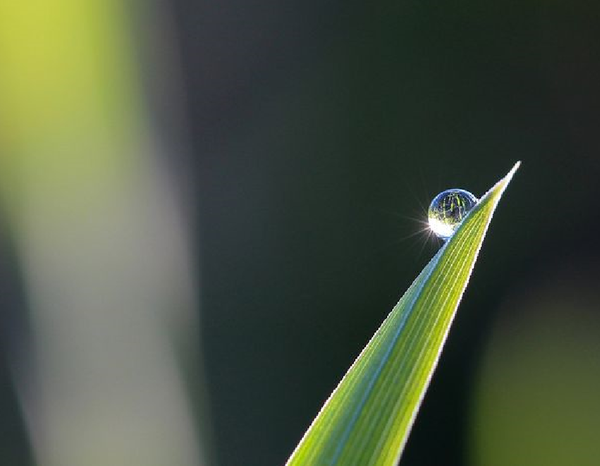 Glittering Drops（闪光的水滴）