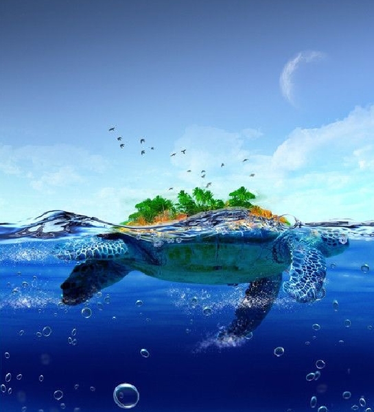 Turtle Island( 海龟岛）