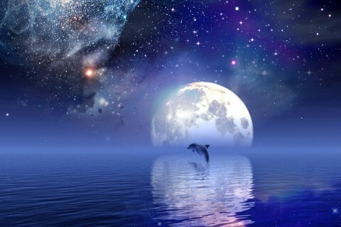 Dolphin Island