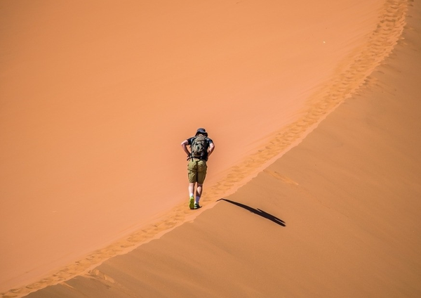 Desert Traveller(沙漠旅行者)