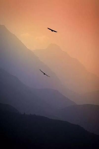 Flying (Radio Edit)