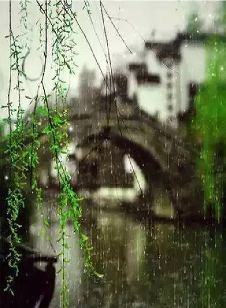 江南雨 